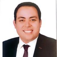 دكتور محمود العشرى