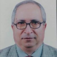 دكتور محمد العايدي