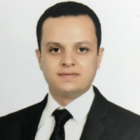 دكتور حسن ابو النجا