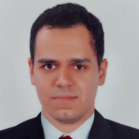 دكتور اسلام حمدي