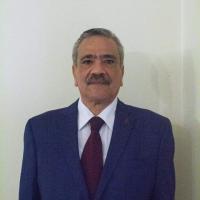 دكتور مصطفى كامل جوده