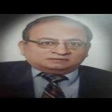 دكتور محمد سعيد رشدى
