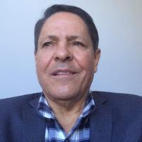 دكتور ناجي عبد السميع عبد الحميد