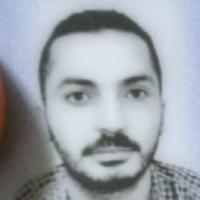 دكتور محمد السيد محمد