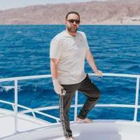دكتور محمد نبيه عامر