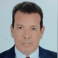 دكتور عمرو عبد الهادى المليجى