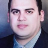 دكتور محمود الحديدى
