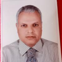 دكتور محمود طلعت محمد