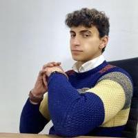 دكتور أحمد صبري سالم