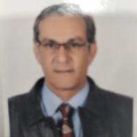 دكتور عماد الدين عزت عبد الرازق