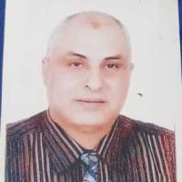 دكتور هشام اسماعيل عبد النبي