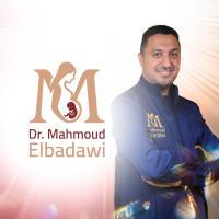 دكتور محمود البدوي
