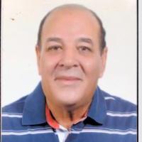 دكتور محمد الهادي